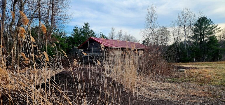 A Rustic Log Cabin With A Red Metal Roof Standing In A Tranquil Rural Field