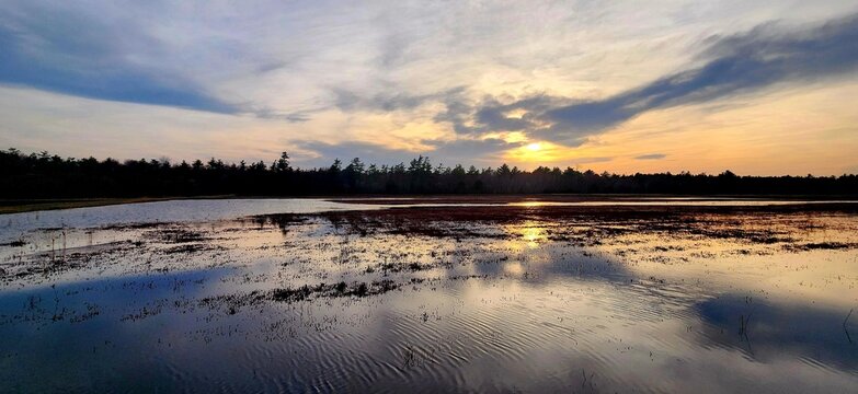 A peaceful sunset over a flooded wetland reflecting the golden sky and silhouettes of trees