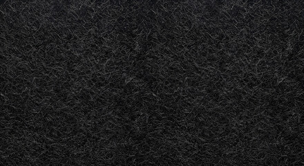 Fototapeta premium Black carpet texture background with soft fibers and fabric pattern