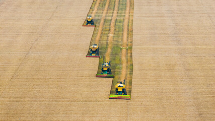 This aerial shot shows multiple combine harvesters working in neat parallel rows on a farm field, efficiently harvesting crops in an organized agricultural operation. © tai