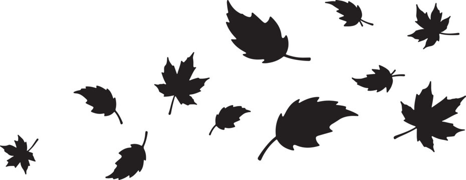 Floating autumn leaves silhouette group on white background