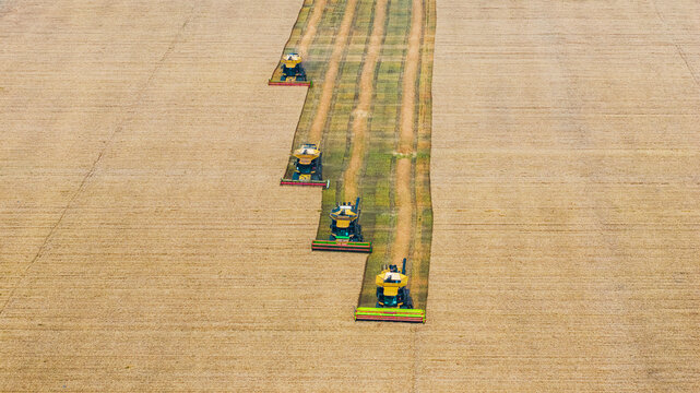This aerial shot shows multiple combine harvesters working in neat parallel rows on a farm field, efficiently harvesting crops in an organized agricultural operation.