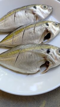 Fresh fish served on a plain white plate, highlighting a clean food ingredient concept. Ideal for culinary, seafood, nutrition, healthy eating, restaurant menu, cooking preparation, and fresh market t