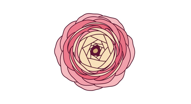 A stylized pink ranunculus flower with layered petals and a geometric center, depicted in a vector illustration style with subtle shading