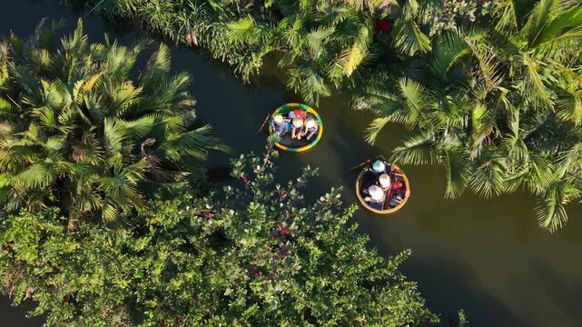 Aerial View Asian Fishermen Hoian Canal. Two Coracle Crews Set Nets And Check Traps Amid Dense Palm Growth, Focused Routine, Early Light, Authentic Riverside Livelihood.