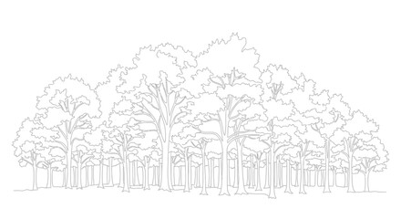 Obraz premium Forest Outline Drawing: Lush Trees and Foliage in Minimalist Line Art Style