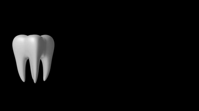 A white molar tooth with three roots isolated on a black background, symbolizing dental health and hygiene