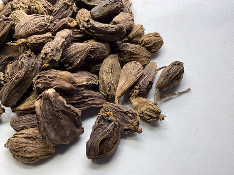 Pile of Dried Black Cardamom Pods, Whole black cardamom (Amomum subulatum) seed pods, an aromatic Indian spice.herbal medicine, traditional Indian seasoning, and healthy food photography.