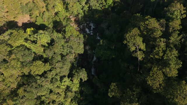Peaceful Forest Brook. Calm And Lush Landscape With Active Wildlife And Gentle Water. Peaceful Wooded Watercourse Winding Silently Through Vibrant Green Trees With Thriving Animals