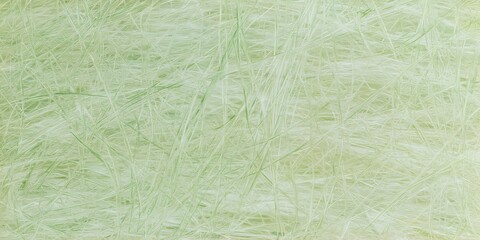 Fototapeta premium Pastel Green Base Overlaid Complex Arrangement Thin Light Green Lines Curvilinear Straight Intersecting Random Dispersion Fine Delicate Texture