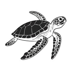 Obraz premium Graphic illustration of a sea turtle swimming isolated on white background with sea life, wildlife