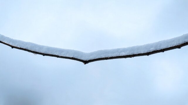 Snow on Bare Branch &mdash; Minimal Winter Nature Detail 16:9