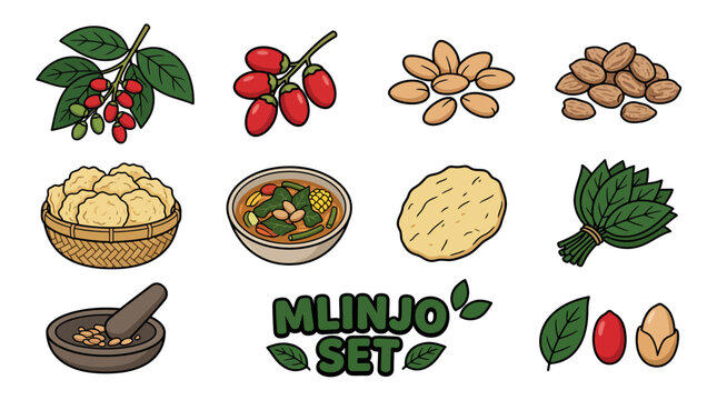 Melinjo Gnetum Gnemon Seeds Leaves Soup and Emping Crackers Cartoon Vector Set