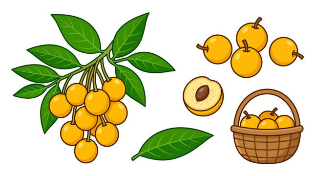 Nance Fruit Yellow Berries Bunch in Basket Cartoon Vector Set