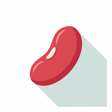 Red Kidney Bean Icon