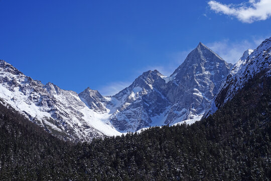 Bipenggou Valley (Bipenggou National Park) is a natural reserve located in northern Sichuan, China