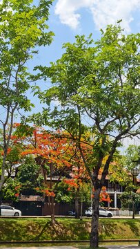 cnx thailand