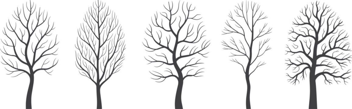 Collection of Five Stylized Bare Tree Silhouettes in Winter Keywords: trees, bare, winter, branches, silhouette, nature, dormant, leafless