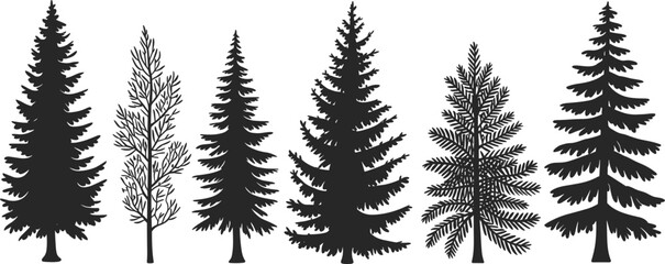 Collection of Seven Black Silhouettes of Coniferous Trees and Bare Branches pine © MostRohida