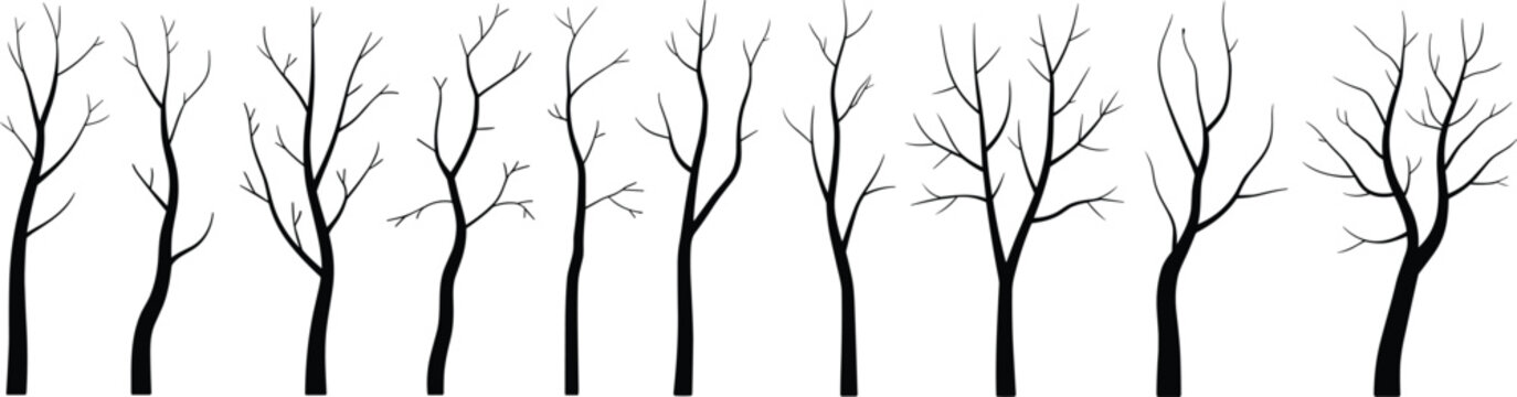 Collection Of Ten Bare Tree Silhouettes With Intricate Branching Patterns trees black