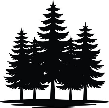 Silhouette of a cluster of evergreen pine trees against a white background Keywords: pine trees, evergreen trees, forest, nature