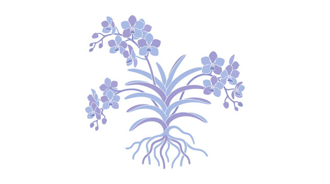 Purple Flowering Plant with Roots.