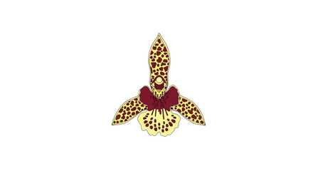 Detailed image of exotic orchid flower. © AlyaNaja