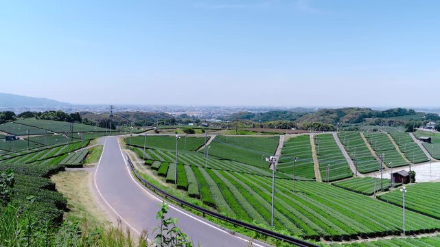 福岡県八女市八女中央大茶園展望所からみた茶畑