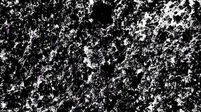 Abstract black and white textured pattern resembling rough stone, scattered particles, and high-contrast organic surfaces.