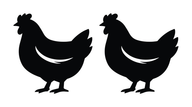 Chicken silhouette vector set, black hen icons for farm branding, poultry bird profile graphics for organic food labels and butcher shop logos