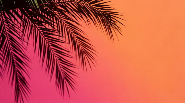 Palm shadow casting on vibrant pink orange wall, summer design element for tropical aesthetics.