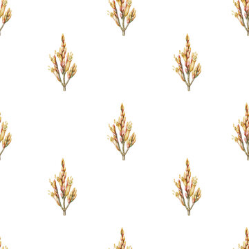 Seamless pattern of tropical Sanchezia speciosa. Hand drawn watercolor illustration with orange exotic flower in botanical style. Decorative background design for summer wallpaper or floral textile