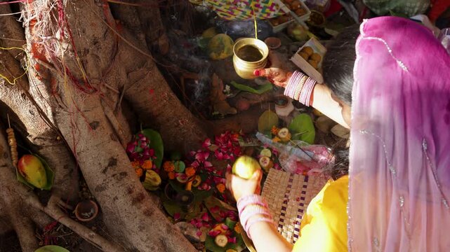 female devotee performing religious ceremony beside holy tree in traditional attire