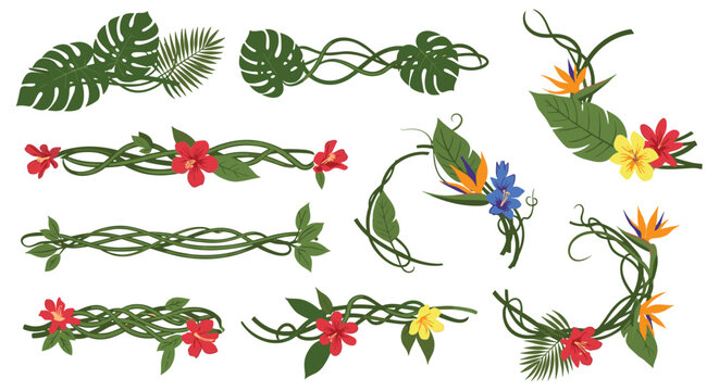 Decorative tropical jungle elements featuring green leafy vines, bird of paradise flowers, hibiscus, and various lush palm foliage.