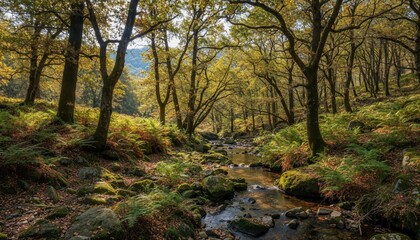 Fototapeta premium Enchanted Forest Stream: A tranquil stream meanders through an autumn forest, bathed in the golden light of the sun filtering through the vibrant canopy.