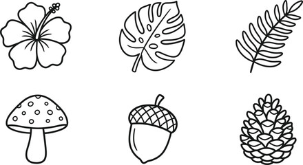 Nature and botanical icons featuring hibiscus flower monstera leaf fern mushroom acorn © SR Stock