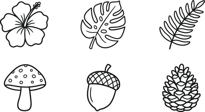 Nature and botanical icons featuring hibiscus flower monstera leaf fern mushroom acorn