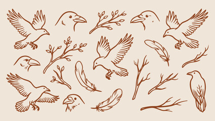 Fototapeta premium Raven forest bird, mystical nature sketch, minimal raven art, clean wildlife illustration, modern dark design, isolated raven vector, premium forest background, organic design print raven, forest, bir
