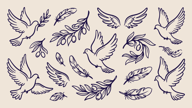 Dove peace bird pattern, olive branch sketch, minimal nature illustration, clean animal art, modern bird design, isolated peace vector, premium nature background, organic design print
dove, peace, bir