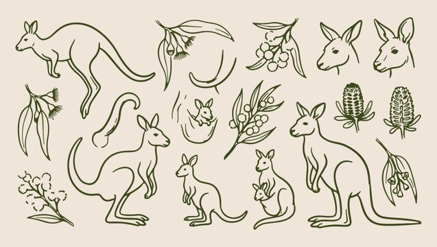 Australian kangaroo wildlife, minimal vector line art, monoline clean design, modern isolated illustration, premium seamless pattern, hand drawn botanical graphic, artistic nature aesthetic
kangaroo, 