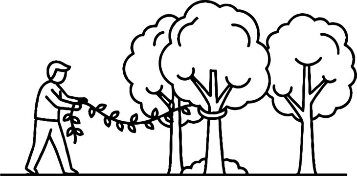 Person trimming overgrown branches from tall trees outdoors.