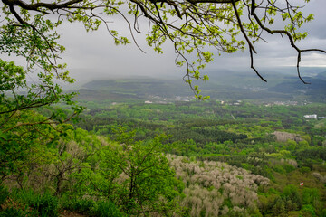 Fototapeta premium Green tree branches framing panoramic view of vast forest valley. Beautiful summer landscape and concepts of freedom and eco tourism.