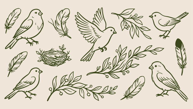 Forest bird nest pattern, woodland branch sketch, minimal nature illustration, clean animal art, modern nest design, isolated bird vector, premium woodland background, organic design print
forest, bir