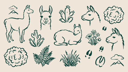 Llama alpaca pattern, mountain animal sketch, minimal nature art, clean wildlife illustration, modern mountain design, isolated llama vector, premium alpine background, organic design print llama, alp © Geetaroy