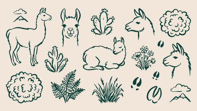 Llama alpaca pattern, mountain animal sketch, minimal nature art, clean wildlife illustration, modern mountain design, isolated llama vector, premium alpine background, organic design print
llama, alp