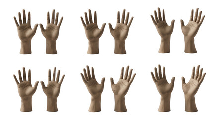 Obraz premium various hand poses isolated on white background medical healthcare or artistic concepts