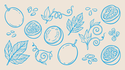 Passion fruit vine pattern, hand drawn botanical, exotic fruit sketch, minimalist line art, fresh organic texture, clean vector design, isolated summer print, premium food background passion, fruit, v © Geetaroy