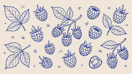 Blackberry berry fruit pattern, wild berry botanical background, minimal vector line art illustration, elegant monoline fruit collection artwork, modern organic food design, isolated white background  © Geetaroy