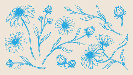Wildflower branch floral pattern, delicate botanical background collection, minimal vector line art illustration, elegant monoline flower stems design, modern nature inspired artwork, isolated white b © Geetaroy
