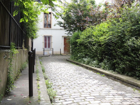 Narrow street in Paris - 18&egrave;me arrondissement - Passage Daunay